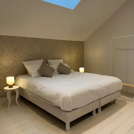Maison Neuve Arcachon, Hyper Centre, 4 펜션 *